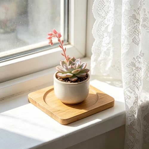 HOIGON 60 Pack 3.7 Inch Bamboo Coasters, Natural Wooden Coasters, Square Bamboo Tray Saucer Set for Drinks, Crafts, Succulents - Image 7
