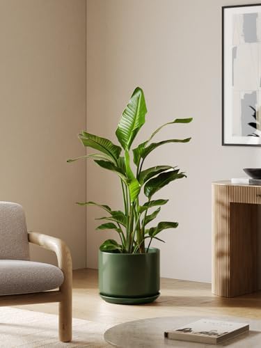 LE TAUCI 12 Inch Pots for Plants, Ceramic Plant Pots with Drainage Holes and Saucers, Elegant and Durable Large Plant Pot, Perfect for Home & Office Decor, Forest Green - Image 6
