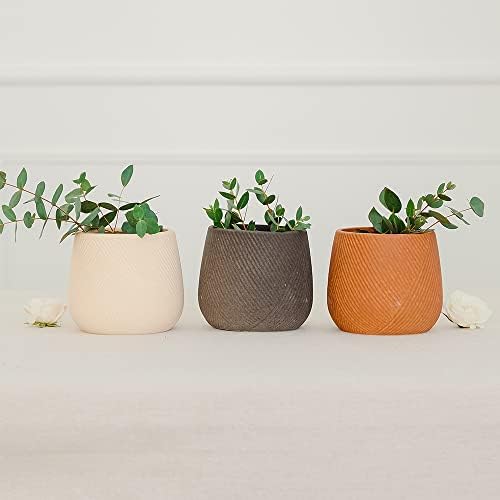 Weddingstar Small Decorative Indoor Ceramic Planters - Neutrals - Set of 3 - Image 3