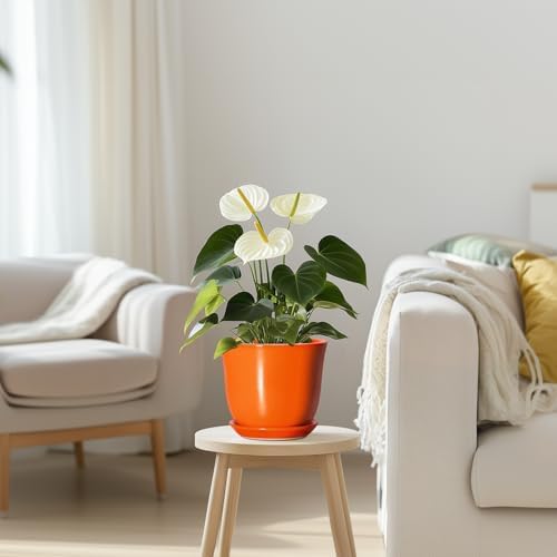 5.6 Inch Plant Pot - Ceramic Pots for Plants Indoor Outdoor, Succulent Pot with Drainage Hole and Saucer, Round Modern Flower Pots, Garden Home Room Decor, Gifts for Plant Lovers, Orange - Image 7