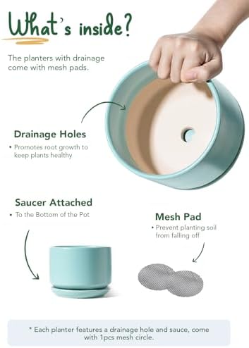 LE TAUCI Ceramic Plant Pots, 4.3+5.3+6.8 inch, Set of 3, Planters with Drainage Hole and Saucer, Indoor Flower Pot with Hole Mesh Pad, Gifts for Mom, Aqua - Image 6