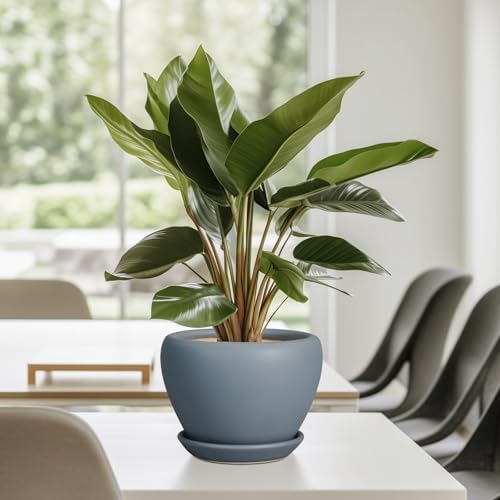 Ceramicfor Ceramic Pot for Plants - 6 Inch Plant Pot Indoor with Drainage Hole and Saucer Decorative Planter for Outdoor Plants Modern Succulent Pots Round Flower Pots Gray - Image 7