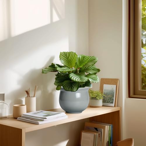 6 Inch Ceramic African Violet Pot, Easy Self Watering Pots with Absorbent Inner Pot, Round Self Watering Planter, Ceramic Pots for Plants Indoor, Apartment Decor, Housewarming Gifts, Grey - Image 7