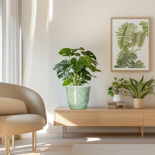 Ceramic Planter - 8 Inch Plant Pot for Indoor Outdoor, Round Flower Pots with Drainage Hole and Saucer, Modern Decorative Planters, Home Office Desk Decor, Gifts for Plant Lovers, Green - Image 7
