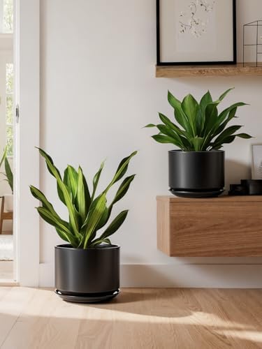 LE TAUCI Ceramic Plant Pots, Set of 2, 8+10 Inch Plant Pots Indoor with Drainage Hole & Saucer, Sturdy Planters for Indoor Plants, Modern Minimalist Decor for Snake Plant, Monstera, Black - Image 6