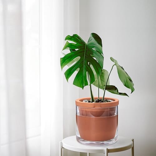 D'vine Dev Self Watering Terracotta Planter Pot, 8 in, 37-X-C-1 - Image 6