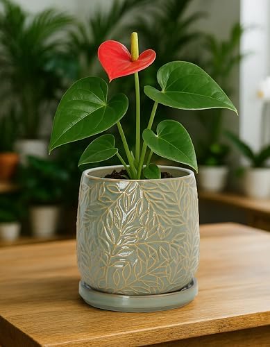 D'vine Dev Embossed Leaves Ceramic Planter, 5 in, Olive, 27-A-V-0 - Image 7