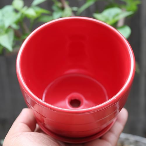 Cute 4.13 Inch Ceramic Home Garden Decoration Succulent Cactus Flower Pots Container -Plant Not Included,White - Image 7