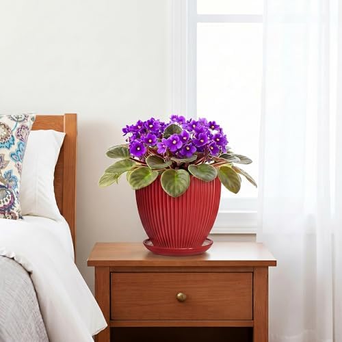 Ceramic Planter, 6 Inch Plant Pot Indoor with Drainage Hole and Saucer, Small Pots for Plants, Modern Succulent Flower Pot, Round Planter, House Garden Decor, Plant Gifts for Women Men, Red - Image 7
