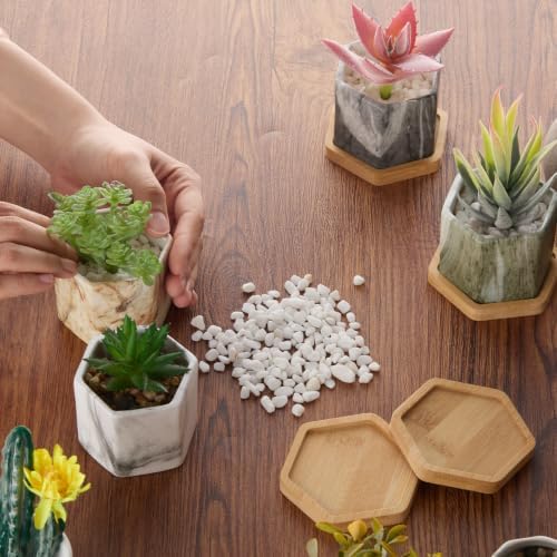Ziliny Marbling Ceramic Flower Pot Succulent Small Plant Cactus Herbs Planter Ceramic Pot with Drainage Hole Matte Container(4 Pcs,Hexagon Style) - Image 6