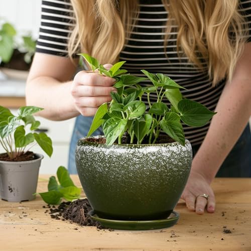 Ceramicfor 6 Inch Plant Pot - Ceramic Planter Pot with Drainage Hole and Saucer, Glaze Succulent Pot Modern Round Flower Pot for Indoor Plants, Dark Green - Image 7