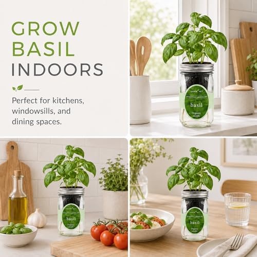 Hydroponic Growing Kit, Self-Watering Mason Jar Herb Garden Starter Kit Indoor, Windowsill Herb Garden, Grow Your Own Herbs from Organic Seeds (Basil) - Image 6