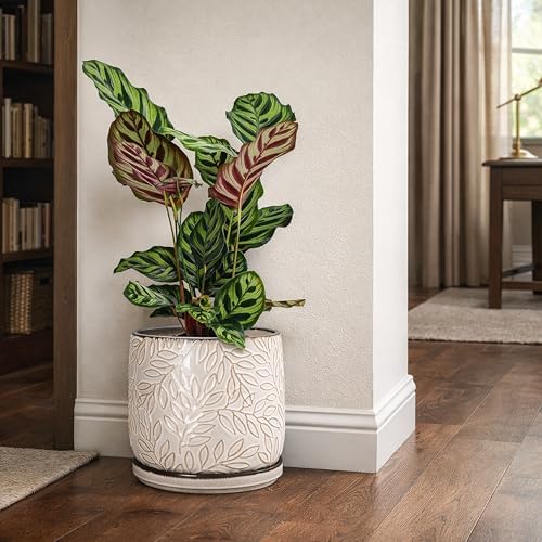 D'vine Dev Embossed Leaves Ceramic Planter, 8 in, Smoked White, 27-A-Q-1 - Image 7