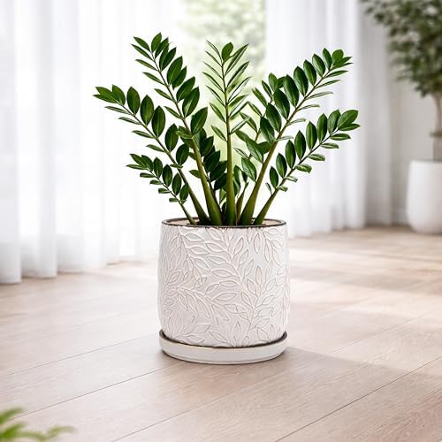 D'vine Dev Embossed Leaves Ceramic Planter, 10 in, Smoked White, 27-A-P-1 - Image 6