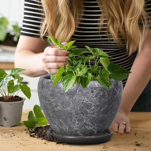 Ceramicfor 8 Inch Plant Pot - Ceramic Planter Pot with Drainage Hole and Saucer, Glaze Garden Pot Modern Flower Pot for Indoor Plants, Gray - Image 7