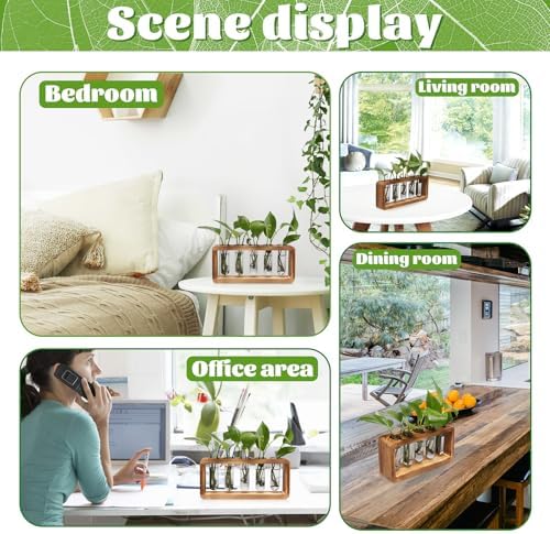 Glass Plant Propagation Station with 5 Test Tubes Colorful Planter Vase - Image 5
