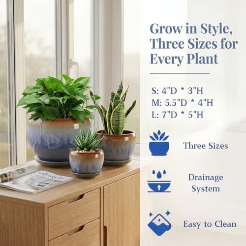 AVLA 3 Pack Ceramic Plant Pots, Gardening Drip Glazed Planters, Decorative Flower Pot with Drainage Hole and Saucer, Round Rustic Houseplant Container for Succulent Herbs Cactus Orchid, Home Office - Image 7
