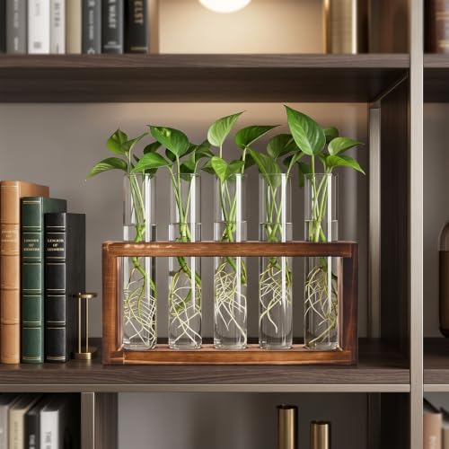 Tigvio Desktop Glass Plant Propagation Station (5 Tubes) - Image 6