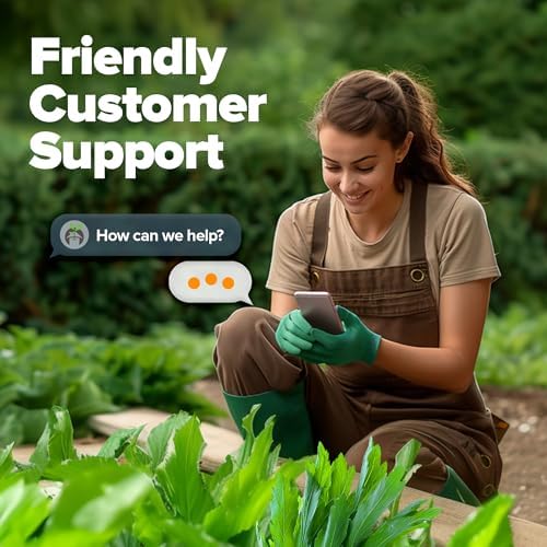 HOME GROWN Culantro Seeds, 360 Seeds, Eryngium foetidum - Image 7