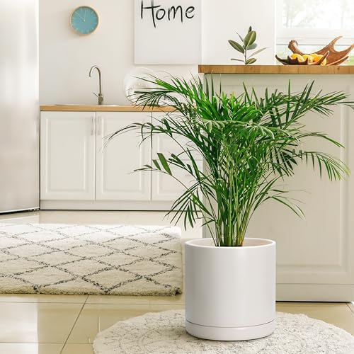 D'vine Dev 12 Inch Ceramic Planter Pot, Oatmeal, 94-O-F-8 - Image 6