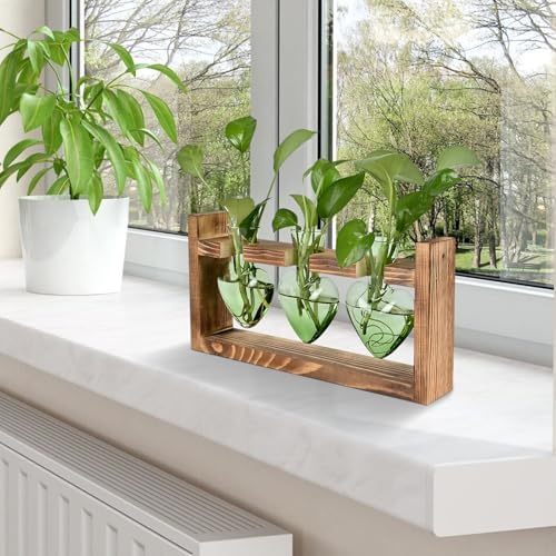 Plant Terrarium Propagation Stations Hydroponics - Image 6