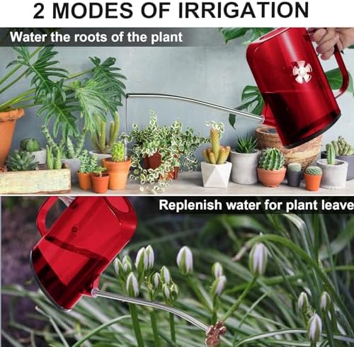 Watering Can Indoor for House Plants Small Watering cans with Long Spout Flower Model Sprinkler Head 1.2L (Red, 1.2L) - Image 7