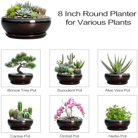 SQOWL Succulent Planters 8 Inch - Ceramic Bonsai Pots with Drainage Hole and Ceramic Saucer, Round Shallow Planter for Indoor Plant, Bowl Planter Outdoor, Desk Decor, Gift for Plant Lover, Blue-Brown - Image 7
