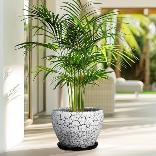 Ceramicfor Ceramic Plant Pot 8 Inch, Glaze White and Black - Image 7