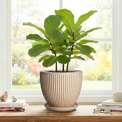 8 Inch Pots for Plants, Ceramic Planter with Drainage Hole and Saucer, Decorative Indoor Plant Pots for Snake Plants, Modern Round Flower Pot, Office House Decor, Gardening Gifts, Beige - Image 7