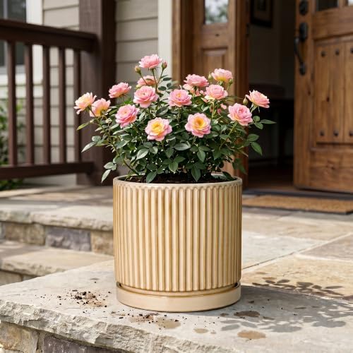 Ceramic Pots for Plants, 10 Inch Planters, Round Plant Pot, Beige - Image 7
