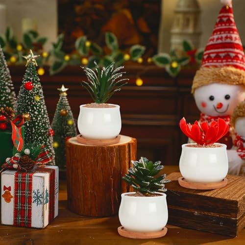SHECIPIN Succulent Pots, White Mini 2.5 inch Ceramic Flower Planter Pot with Bamboo Tray, Pack of 12 - Plants Not Included - Image 7