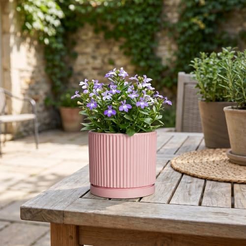 Ceramic Succulent Pots, 4 Inch Pots for Plants, Round Planter, Pink - Image 7