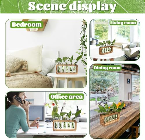 Glass Plant Propagation Station with 5 Test Tubes Colorful Planter Vase - Image 5