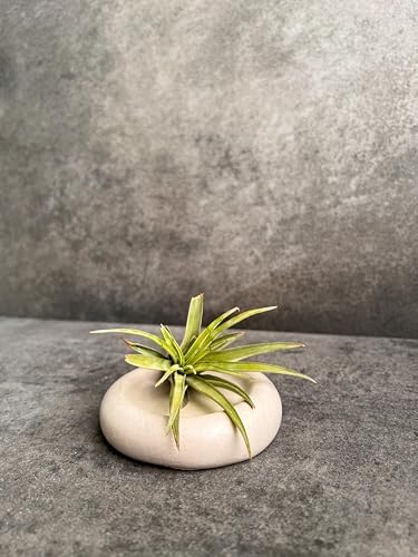 Small Cloud Concrete Tray, Pebble Tray, Decorative Tray, Ring Dish, Catch All Tray, Bubble Tray, Jewelry Display, Minimalist Tray, Decor (Creamy Gray) - Image 7
