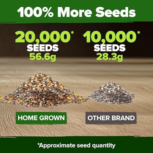 HOME GROWN Monarch Butterfly Wildflower Mix Seeds, 20,000+ Seeds, 2 oz - Image 6