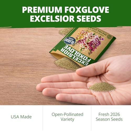 HOME GROWN Foxglove Excelsior Mix 8000 Flower Seeds Digitalis purpurea - Image 7