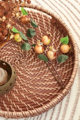 HITOMEN 11.8" Hand-Woven Round Rattan Serving Tray Decorative Wicker Trays with Handles for Coffee Table (Honey Brown-M) - Image 5