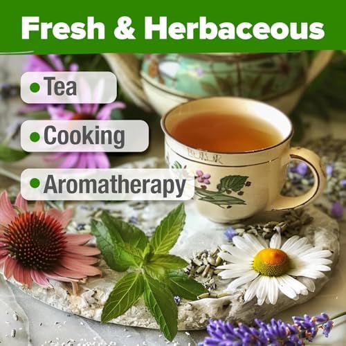 HOME GROWN 6 Medicinal Herb Variety Vault 2000+ Seeds Garden Kit - Image 7