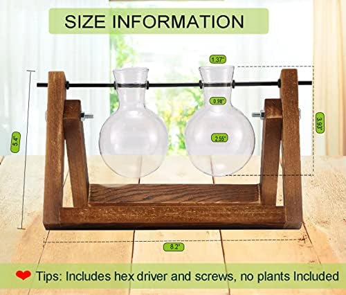 Kingbuy Glass Desktop Planter with Retro Wooden Stand, 2 Bulbs - Image 6