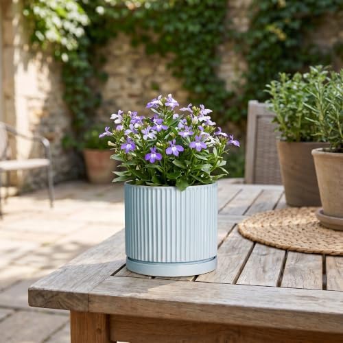 4 Inch Plant Pots, Ceramic Pots for Plants with Saucer, Light Blue - Image 7