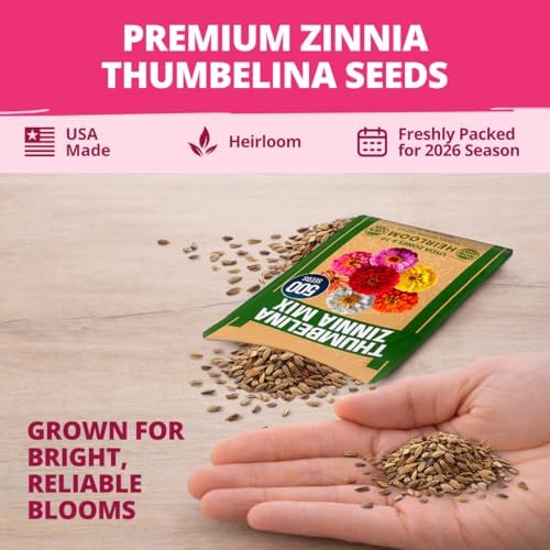 HOME GROWN Zinnia Seeds, Thumbelina, 500 Seeds, Zinnia elegans - Image 7