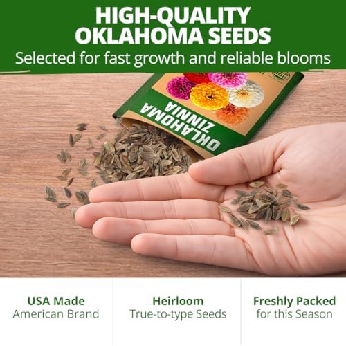 HOME GROWN Zinnia Seeds, Oklahoma, 50 Seeds, Zinnia elegans - Image 7