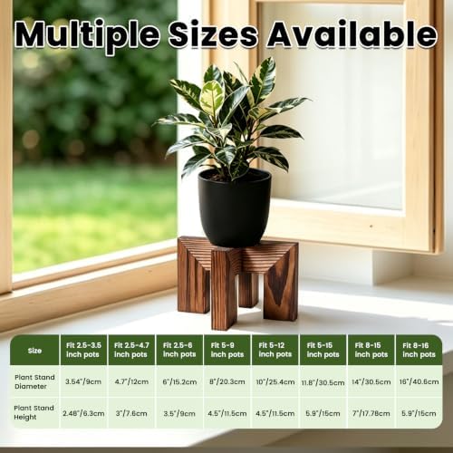 Vigordream Plant Stand, Wood Plant Holder - Image 6