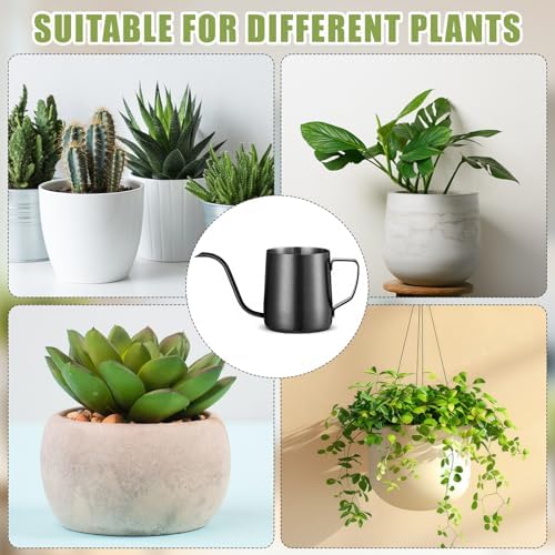 2 Pcs Small Watering Can for Indoor Plants, 12 Oz/350 ml Mini Plant Watering Pot with Long Spout and Scale 304 Stainless Steel Tiny Watering-can for Outdoor Indoor Plants Garden(Black) - Image 6