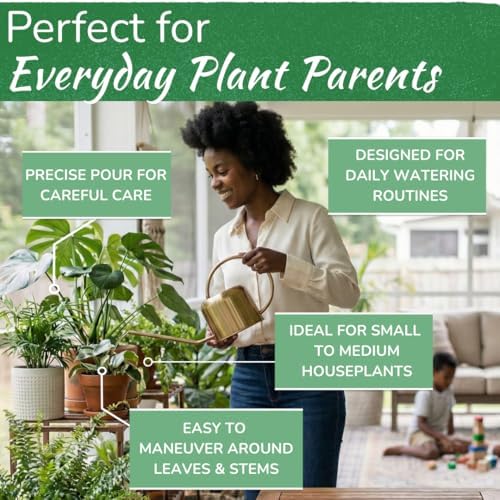 Stainless Steel Houseplant Watering Can, Brushed Gold, 1L Capacity - Image 6