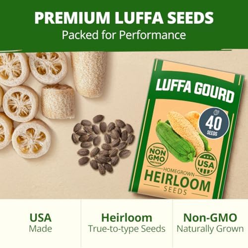 HOME GROWN Luffa Loofah Gourd Seeds, 40 Seeds, Luffa aegyptiaca - Image 7