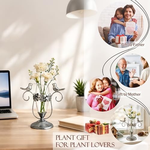 Vintage Hydroponics Glass Propagation Vases for Plants, 8.26"×7.9" - Image 6