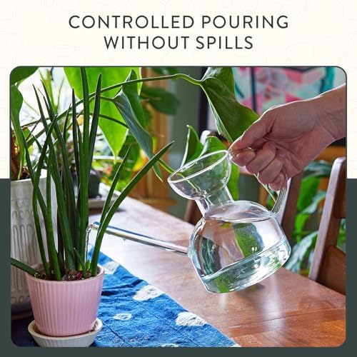 Modern Sprout Glass Watering Can - 32 oz - Long Spout Modern Decor (Clear) - Image 6