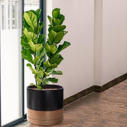 D'vine Dev 14 Inch Ceramic Planter Pot, Black/Tan, 94-O-G-7 - Image 6