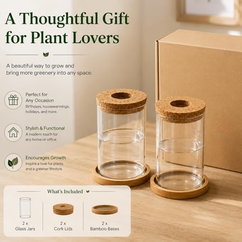 Glass Plant Propagation Stations, 2PCS - Image 7